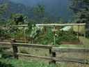 Organic Farm Area Ecuador